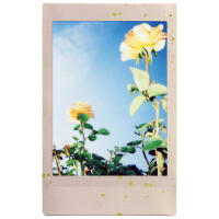 Fujifilm Instax Mini Soft Glitter Instant Film 3