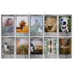 Fujifilm INSTAX MINI Stone Gray Instant Film (10 Exposures) 3