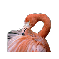 Fujifilm Vivid Canvas Semi-Gloss Inkjet Paper 350 - 24in.x40ft. 0