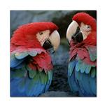 Fujifilm Semi-Gloss Inkjet RC Board 20 sheets - 11 in. x 14 in. 0