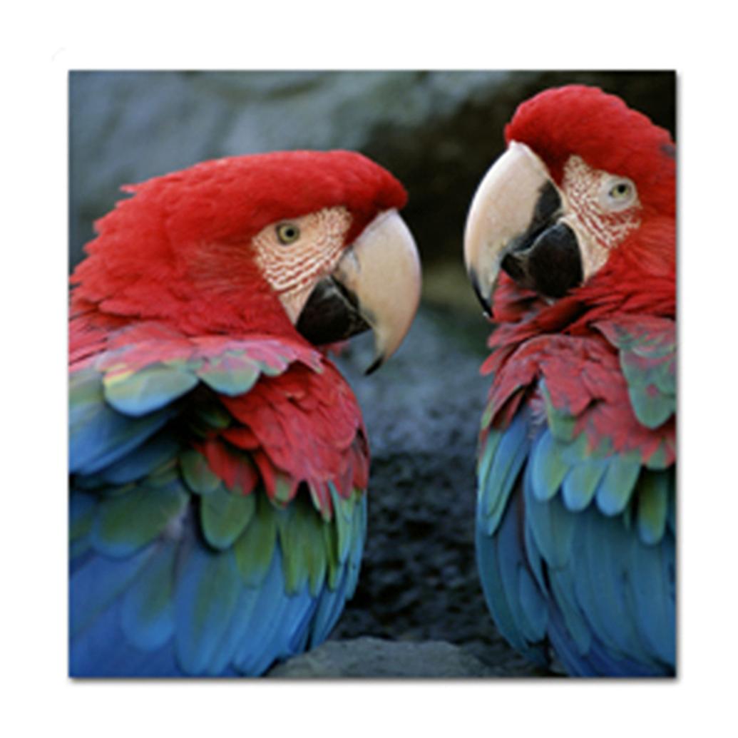 Fujifilm Semi-Gloss Inkjet RC Board 20 sheets - 11 in. x 14 in.