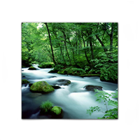 Fujifilm Artists Canvas Matte Inkjet Paper 340 - 24in.x35ft. 0