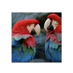 Fujifilm Semi-Gloss Inkjet RC Board 20 sheets - 16 in. x 20 in.