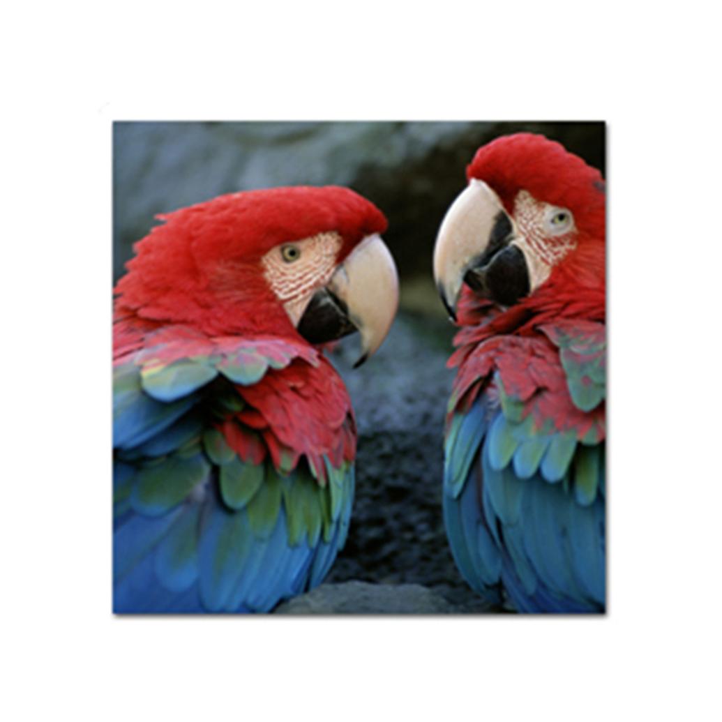 Fujifilm Semi-Gloss Inkjet RC Board 20 sheets - 16 in. x 20 in.