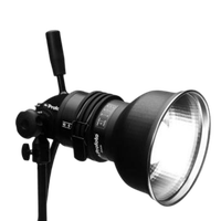 Profoto ProHead Plus UV 500W with Zoom Reflector