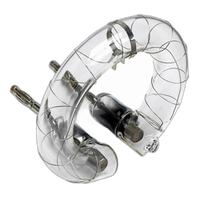 Profoto Flashtube D1 500/1000 0