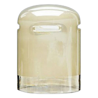Profoto Glass Cover Plus 100 mm Frosted -600K 0