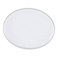 Profoto Glass Plate Frosted for B1/B1X/D1/D2 0