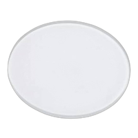Profoto Glass Plate Clear for B1/B1X/D1/D2 0