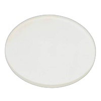 Profoto Glass Plate UV -300K for B1/B1X/D1/D2 0