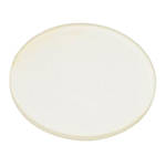 Profoto Glass Plate Frosted UV -600K for B1/B1X/D1/D2 0