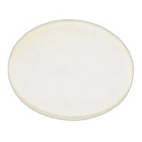 Profoto Glass Plate Frosted UV -600K for B1/B1X/D1/D2 0