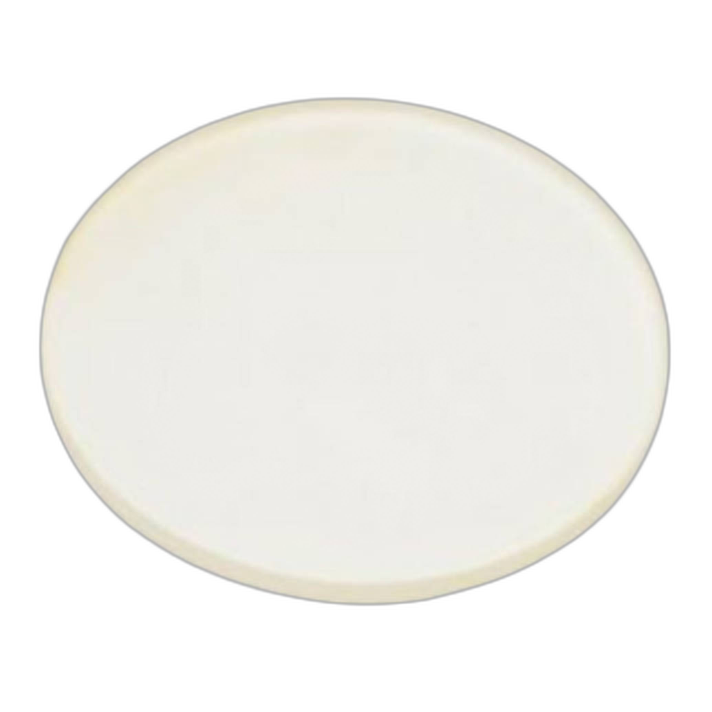 Profoto Glass Plate Frosted UV -600K for B1/B1X/D1/D2