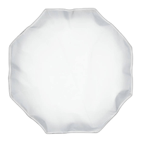 Profoto OCF Beauty Dish White 2ft 7