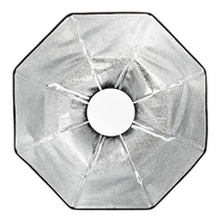 Profoto OCF Beauty Dish Silver 2ft 0