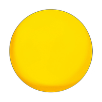 Profoto OCF II Gel Yellow 0