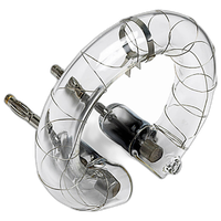 Profoto High Capacity Quartz Flashtube for D2 0