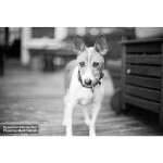 Film Photography Project FPP Derev Pan 400 ISO 35mm 36 exposures 1