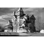 Film Photography Project FPP Derev Pan 400 ISO 35mm 36 exposures 2