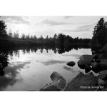 FPP X2 Eastman Double-X 35mm Black and White 35mm 200 ISO 24 exposure 1