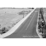 Film Photography Project FPP Wolfman 35mm Black and White Film ISO 100 24exp 1