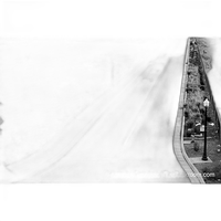 Film Photography Project FPP Wolfman 35mm Black and White Film ISO 100 24exp 1
