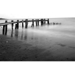 Film Photography Project FPP Super Positive 35mm B and W Film ISO 0.8 24ex 2