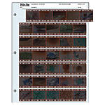 Unique Photo Student Package Number 2 3