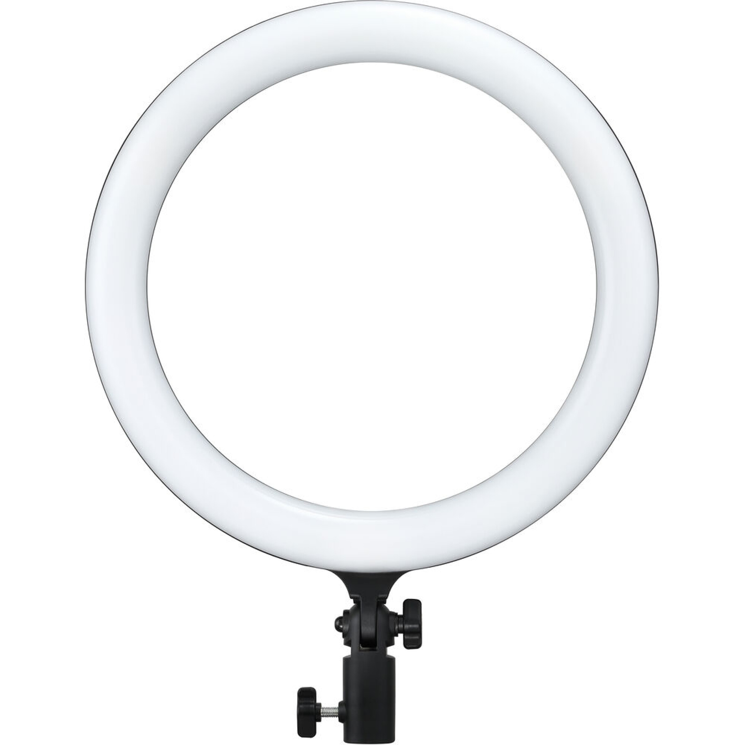 Godox LR120 Bi-color 12in LED Ring Light (Black)
