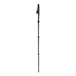 Gitzo Series 2 GM2541 Carbon Fiber Monopod 0
