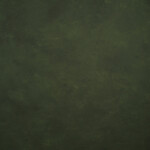 GRAVITY Hand Painted Classic Collection Green XS 3.9 x 7.8 ft Mid Texture Ba 0