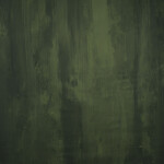 GRAVITY Hand Painted Classic Collection Green XS 3.9 x 7.8 ft Strong Texture 0