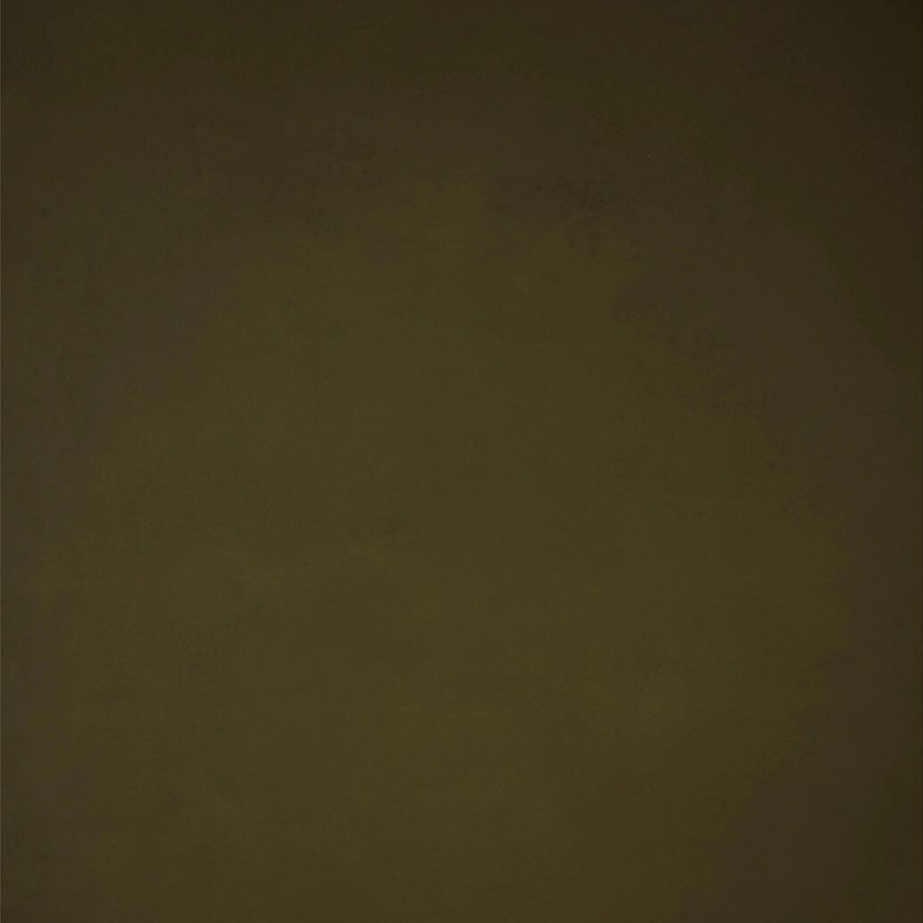 GRAVITY Hand Painted Classic Collection Olive Green SM 5.2 x 8.9 ft Low Text