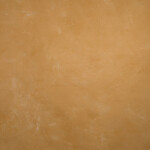 GRAVITY Hand Painted Classic Collection Ochre SM 5.2 x 8.9 ft Mid Texture Ba 0