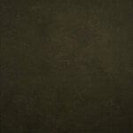 GRAVITY Hand Painted Classic Collection Olive Green SM 5.2 x 8.9 ft Mid Text 0