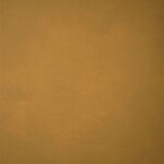 GRAVITY Hand Painted Classic Collection Ochre M 6.2 x 8.9 ft Low Texture Bac 0