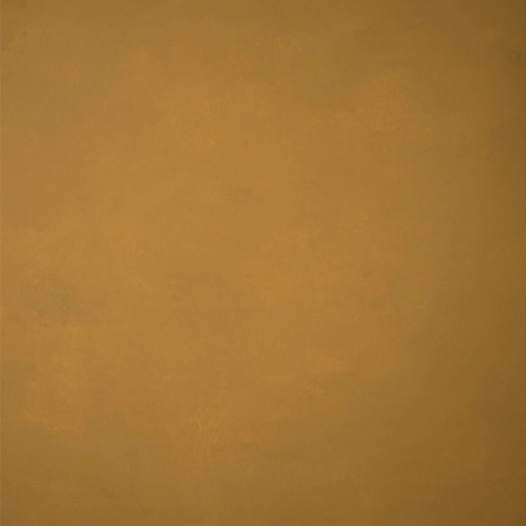 GRAVITY Hand Painted Classic Collection Ochre M 6.2 x 8.9 ft Low Texture Bac