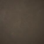 GRAVITY Hand Painted Classic Collection Warm Gray LG 6.9 x 8.9 ft Low Textur 0