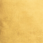 Gravity Backdrops Signature Collection Lindsay Adler Gold Mid Texture (L) 2