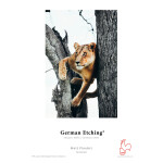 Hahnemuehle German Etching 310gsm 35x46.75 25 Sheets 0