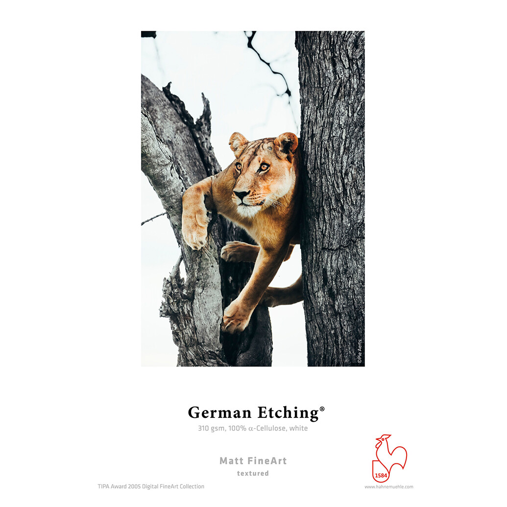 Hahnemuehle German Etching 310gsm 35x46.75 25 Sheets