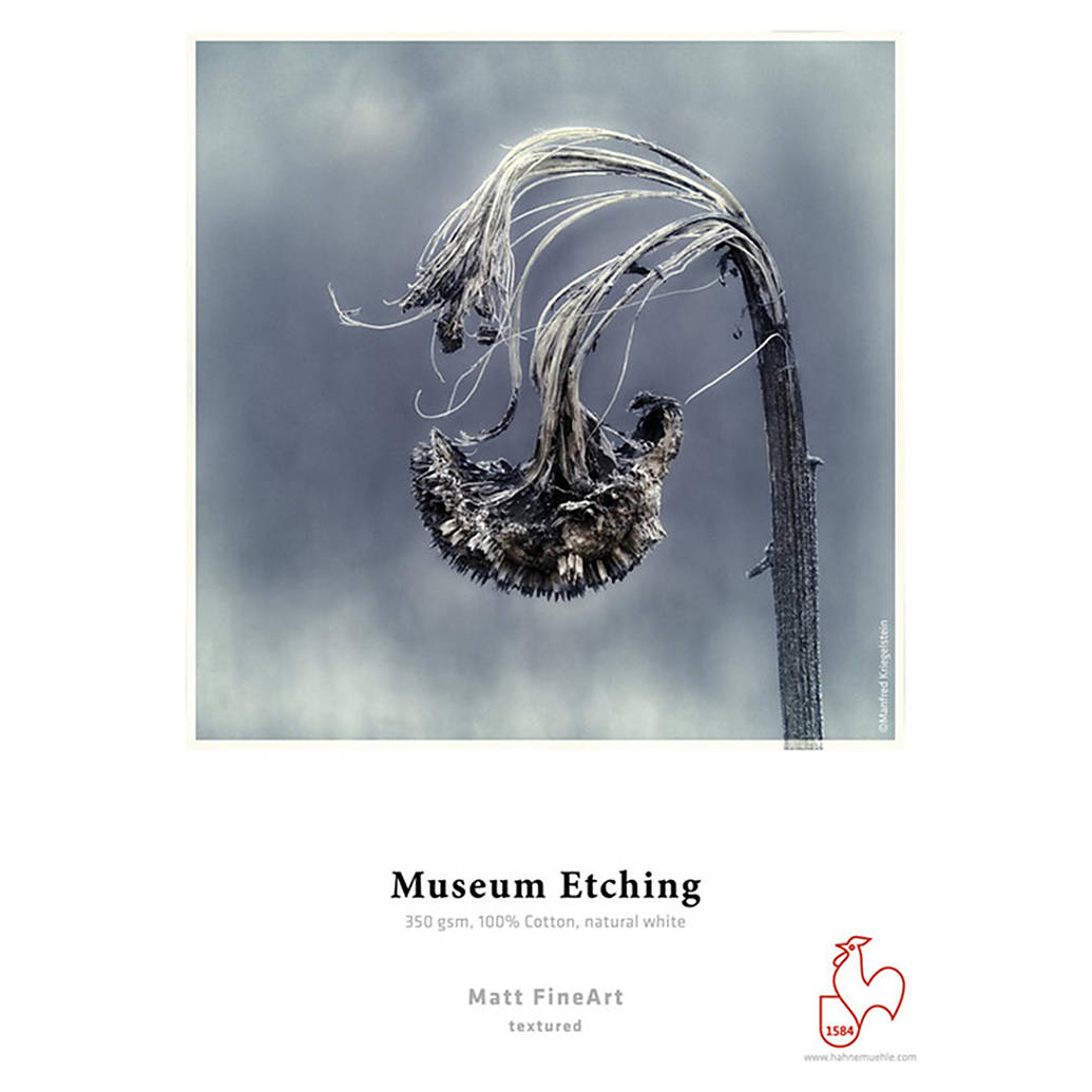 Hahnemuehle Museum Etching 350gsm 17x22 25 Sheets
