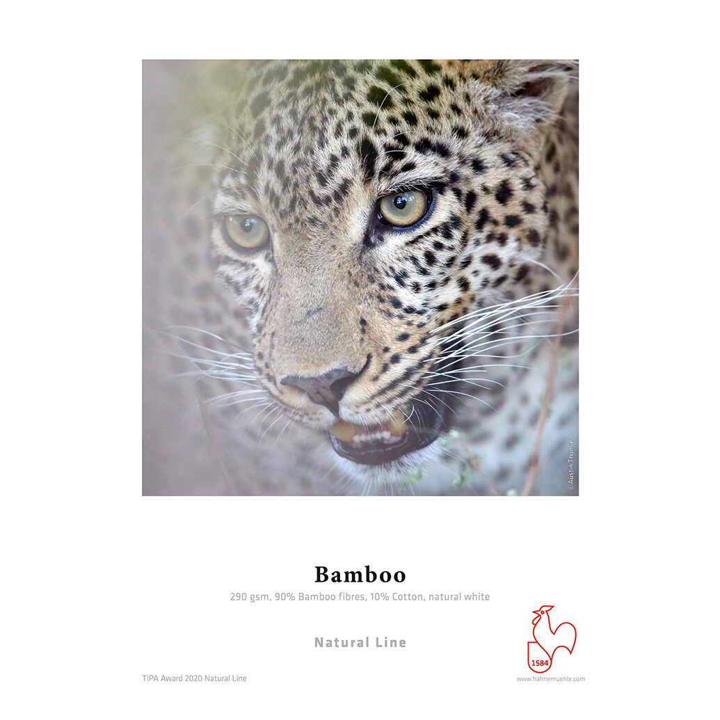 Hahnemuehle Bamboo 290 gsm 36x39 Roll 3 inch core