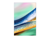 Hahnemuehle Daguerre FineArt Canvas 400gsm 24x39 Roll 2 inch core 0