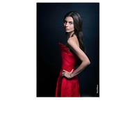 Hahnemuehle FineArt Baryta Satin - 13X19 - 25 Sheets 0