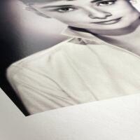 Hahnemuehle 17 x 22 In. Photo Rag Pearl 320 gsm. (25) 2