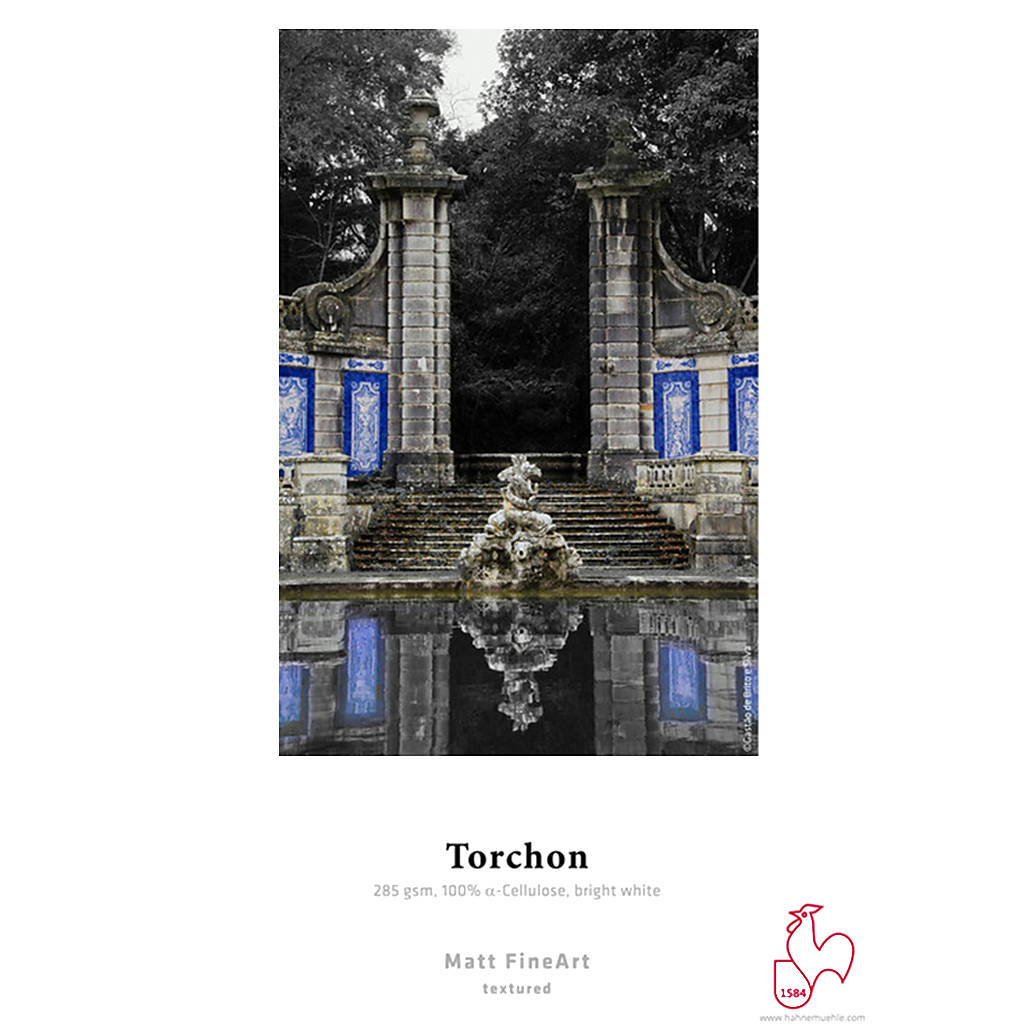 Hahnemuehle 13 x 19 Torchon 285 gsm. (25)