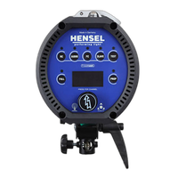 Hensel Expert D 1000 Monolight 2