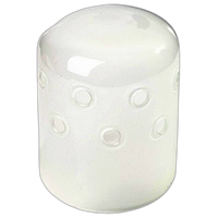 Hensel Glass Dome Frosted Single Coated For EH Mini  and  Pro/Integra/Expert D 0