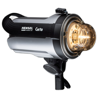 Hensel Certo 400 Monolight 3